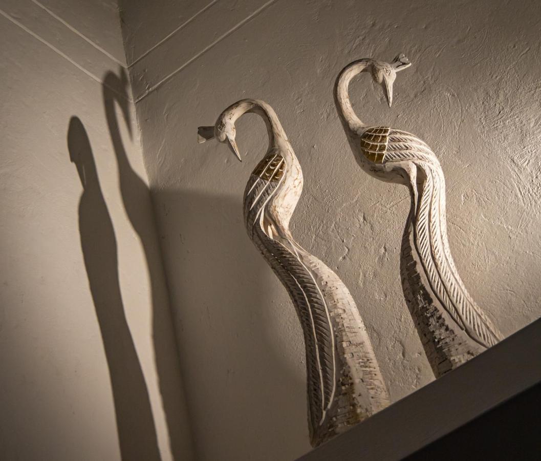Casa Jacaranda Hotel Boutique - Cauca Viejo - Mayores De 14 Anos - เฮรีโค ภายนอก รูปภาพ