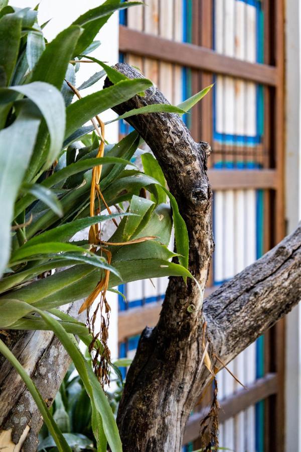 Casa Jacaranda Hotel Boutique - Cauca Viejo - Mayores De 14 Anos - เฮรีโค ภายนอก รูปภาพ